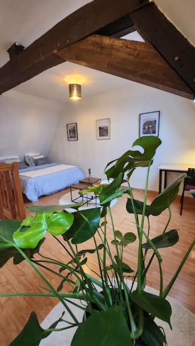דירות דואי Grand Duplex Du Beffroi מראה חיצוני תמונה